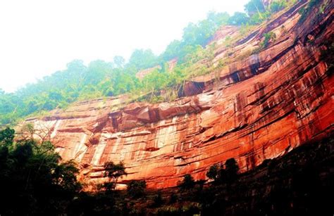  ¡Sumérgete en la historia y la naturaleza con el Parque de los Pinos de Zunyi!