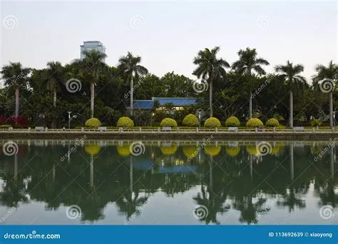 ¿Buscas un oasis de paz y belleza en Nanchang? ¡Sumérgete en la serenidad del Parque Bailu!