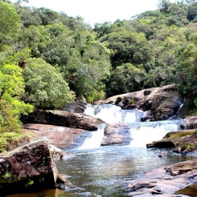  El Parque Estadual da Serra do Mar: Una escapada exuberante a la naturaleza y un paraíso para los amantes de las cascadas!